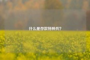 什么是存款特种兵？