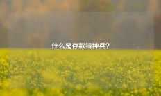 什么是存款特种兵？