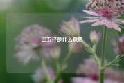 二五仔是什么意思