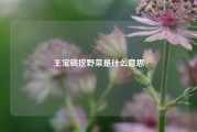 王宝钏挖野菜是什么意思