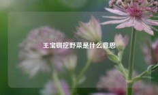 王宝钏挖野菜是什么意思