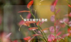 饭托女是什么意思