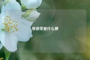 邢道荣是什么梗