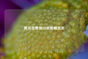 黑五类食物分别是哪五类