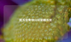 黑五类食物分别是哪五类