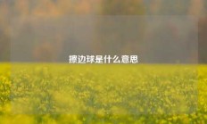 擦边球是什么意思