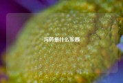 泻药是什么东西