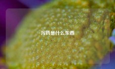 泻药是什么东西