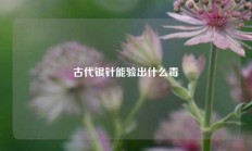 古代银针能验出什么毒