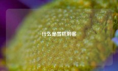 什么是雪糕刺客