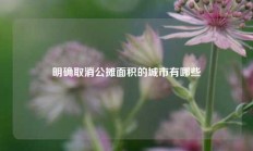 明确取消公摊面积的城市有哪些