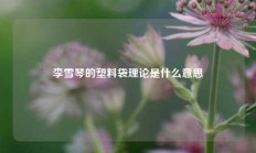 李雪琴的塑料袋理论是什么意思