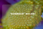 ‌“联合国精英名媛”是什么意思？