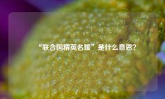 ‌“联合国精英名媛”是什么意思？