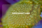 粘弹性流体是什么意思