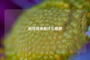 粘性流体是什么意思