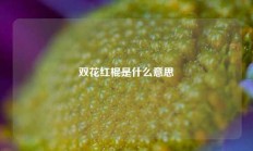 双花红棍是什么意思