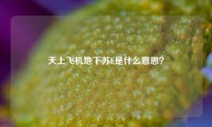 天上飞机地下苏E是什么意思？