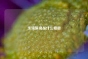 生殖隔离是什么意思