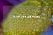 贾跃亭为什么迟迟不敢回国