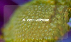 基八是什么意思热梗