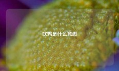 吹鸡是什么意思