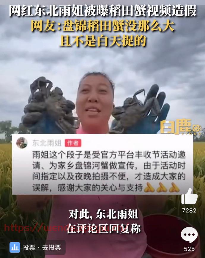 东北雨姐“塌房”事件是什么意思-第3张图片-知识问答百科网