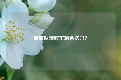 清收队清收车辆合法吗？-第2张图片-知识问答百科网