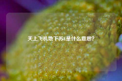 天上飞机地下苏E是什么意思？-第2张图片-知识问答百科网